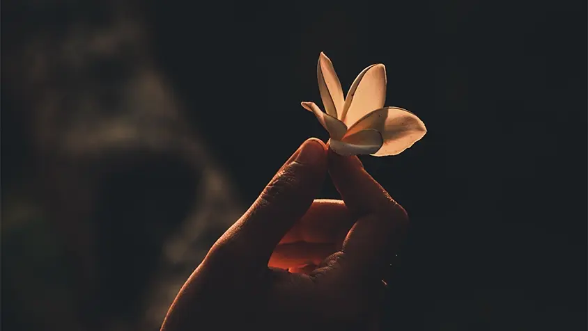 A company culture based on the Jeevanvidya philosophy.